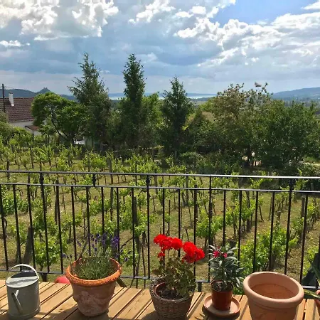 Сasa de vacaciones Szívecske Ház - *