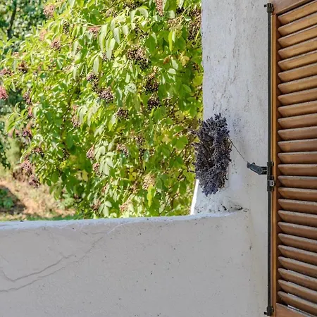 Szivecske Haz - Σπίτι διακοπών *