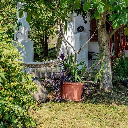 Szivecske Haz - Hegymagas