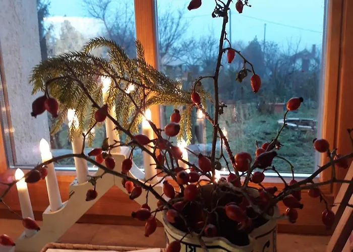 Szivecske Haz - * Hegymagas