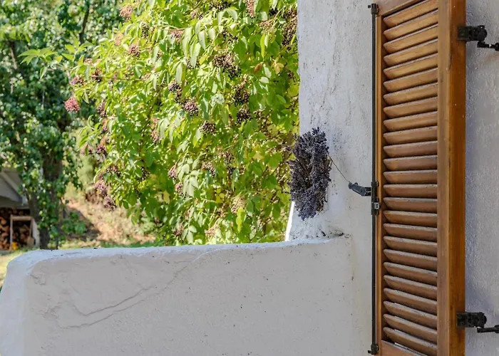 Szivecske Haz - Feriehus *